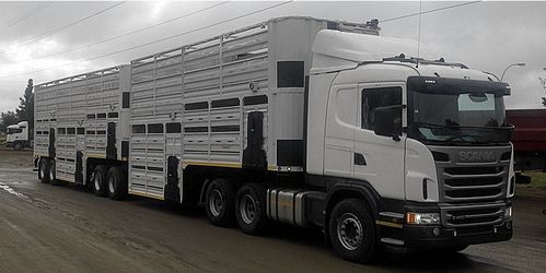 卡车和拖车上销售的牲畜拖车